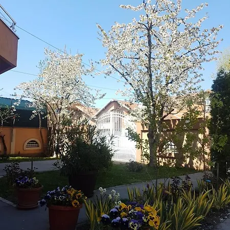 Bella Mare アパート ベオグラード